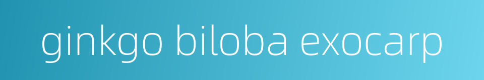 ginkgo biloba exocarp的同义词