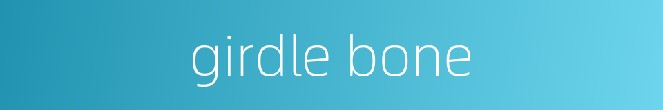 girdle bone的同义词