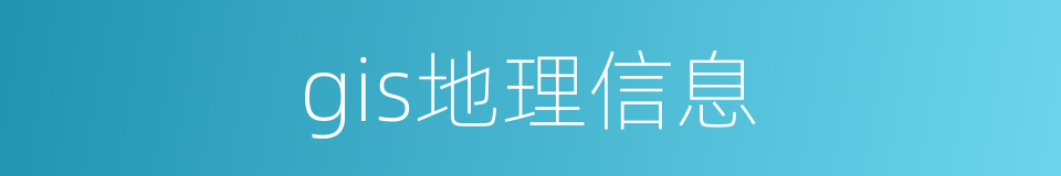 gis地理信息的同义词