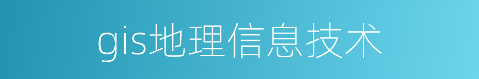 gis地理信息技术的同义词