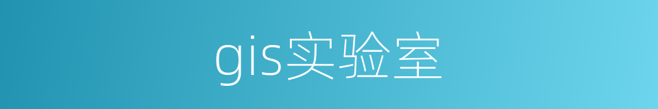 gis实验室的同义词
