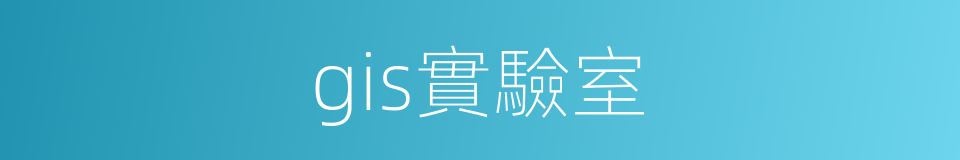 gis實驗室的同義詞