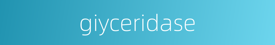 giyceridase的同义词