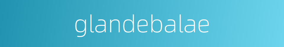 glandebalae的同义词