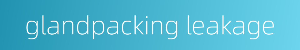 glandpacking leakage的同义词