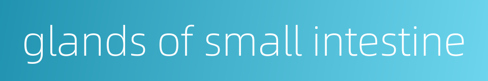 glands of small intestine的同义词