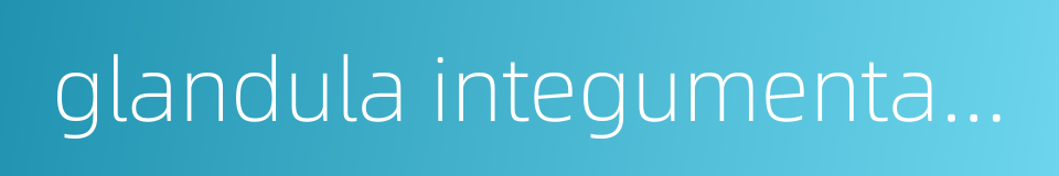 glandula integumentaria的同义词