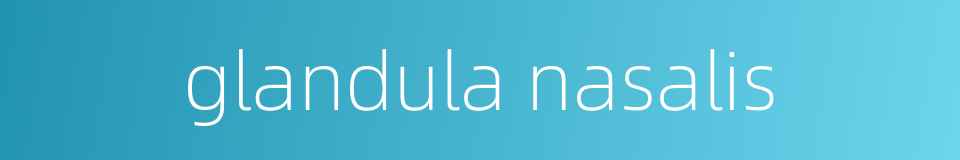 glandula nasalis的同义词