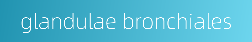 glandulae bronchiales的同义词