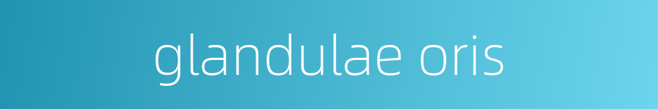 glandulae oris的同义词