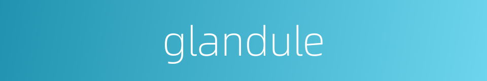 glandule的同义词