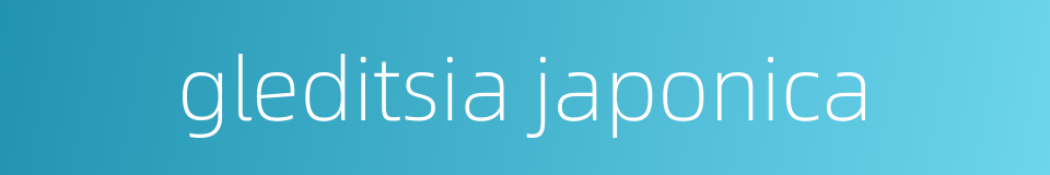 gleditsia japonica的同义词