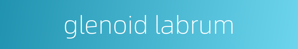 glenoid labrum的同义词