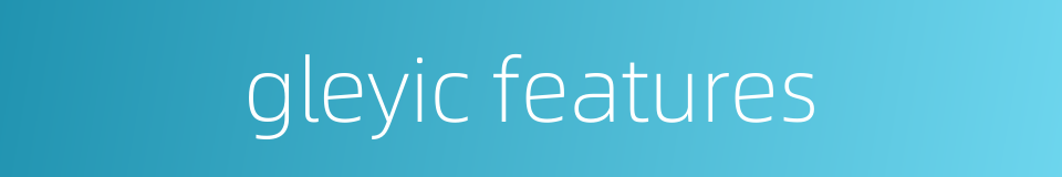 gleyic features的同义词