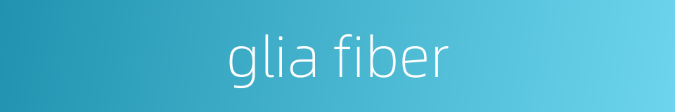 glia fiber的同义词
