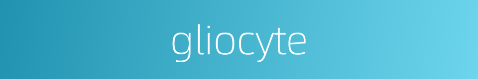 gliocyte的同义词