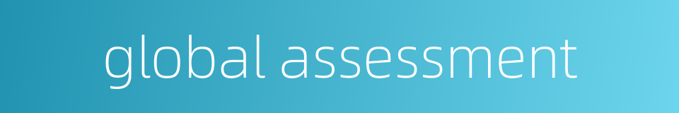 global assessment的同义词