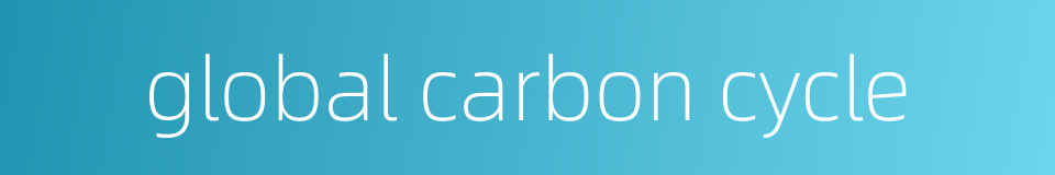 global carbon cycle的同义词