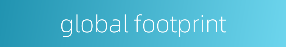 global footprint的同义词