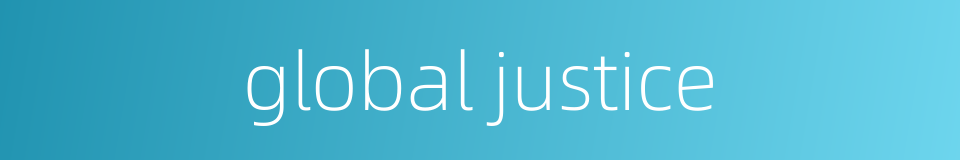 global justice的同义词