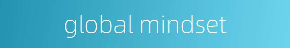 global mindset的同义词