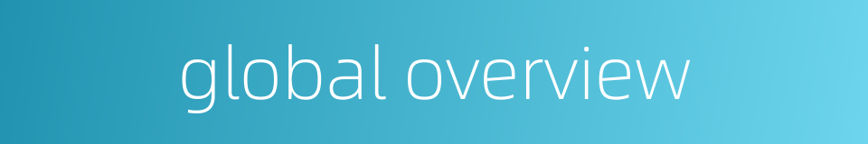 global overview的同义词