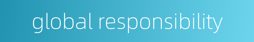 global responsibility的同义词