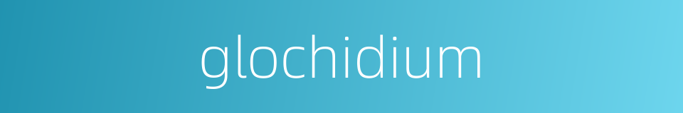glochidium的同义词