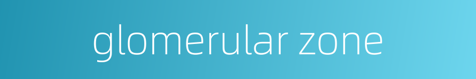 glomerular zone的同义词