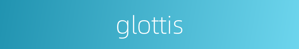 glottis的同义词