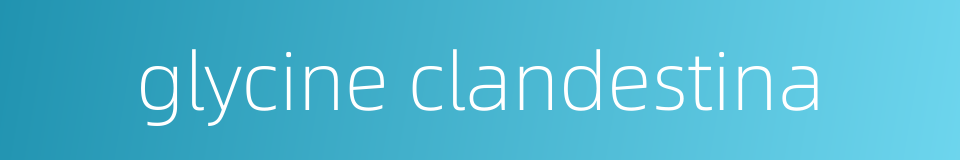 glycine clandestina的同义词
