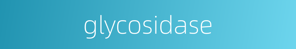 glycosidase的同义词