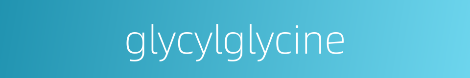 glycylglycine的同义词