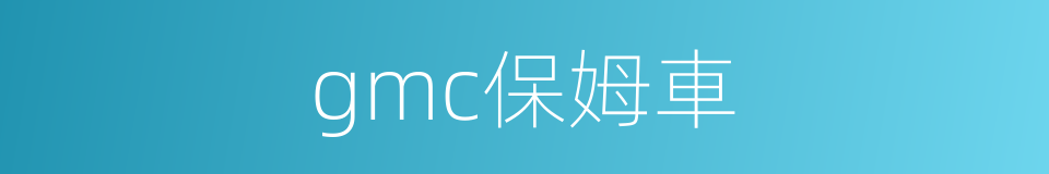 gmc保姆車的同義詞