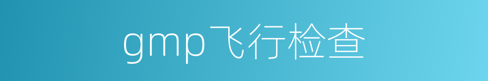 gmp飞行检查的同义词