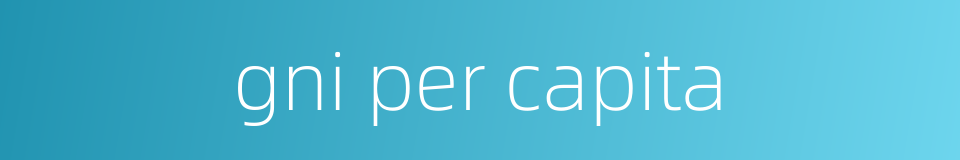 gni per capita的同义词