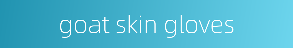 goat skin gloves的同义词