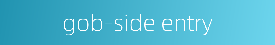 gob-side entry的同义词