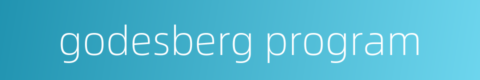 godesberg program的同义词