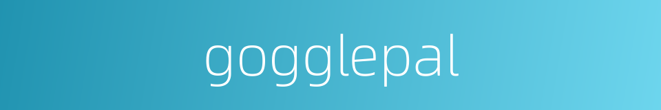 gogglepal的同义词