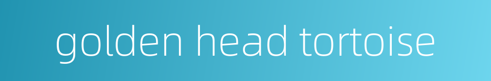 golden head tortoise的同义词