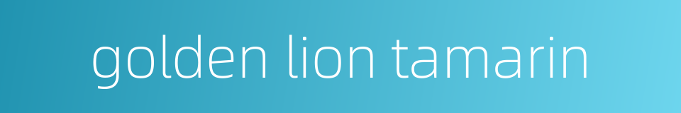 golden lion tamarin的同义词