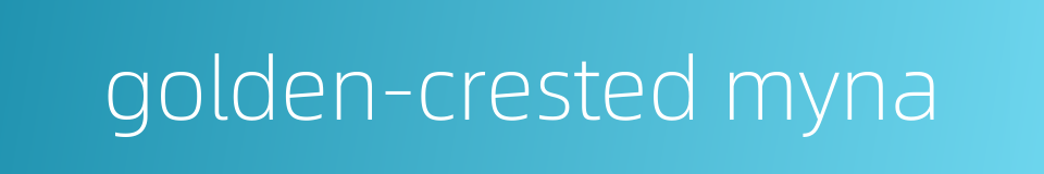 golden-crested myna的同义词