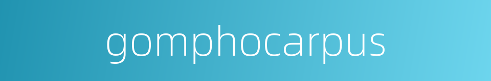 gomphocarpus的同义词