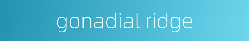 gonadial ridge的同义词