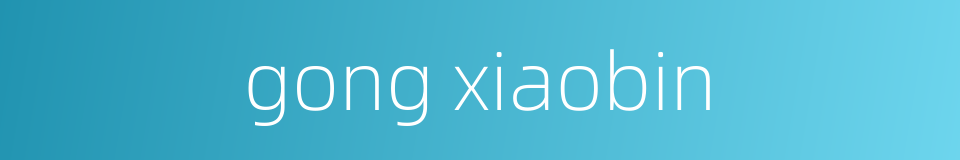 gong xiaobin的同义词