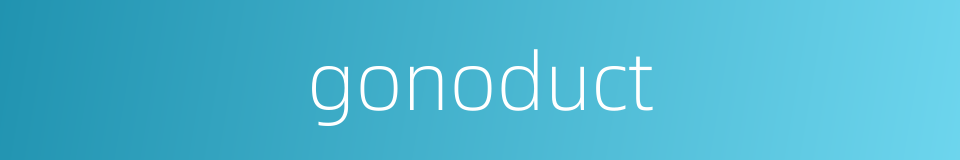 gonoduct的同义词