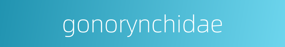 gonorynchidae的同义词