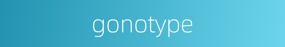 gonotype的同义词