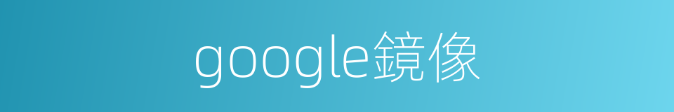 google鏡像的同義詞